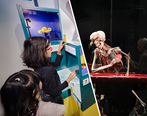 Children exploring interactive exhibit at NEMO Science Museum and anatomical display at Body Worlds Amsterdam.