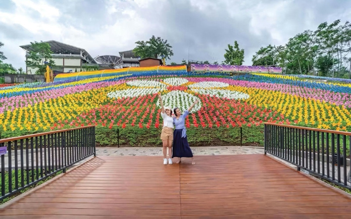 Tourists enjoying colorful tulip garden at Dairyland Farm Theme Park.