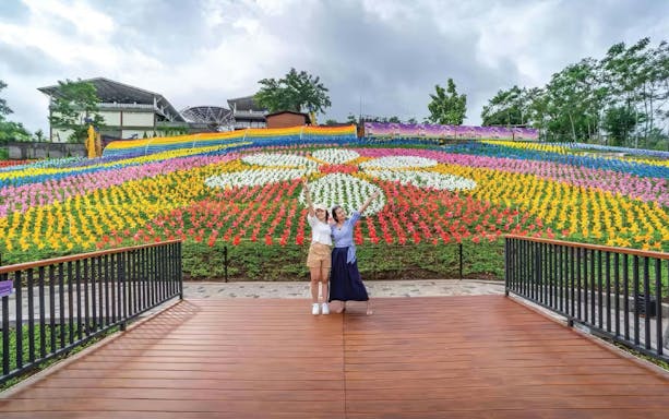 Tourists enjoying colorful tulip garden at Dairyland Farm Theme Park.