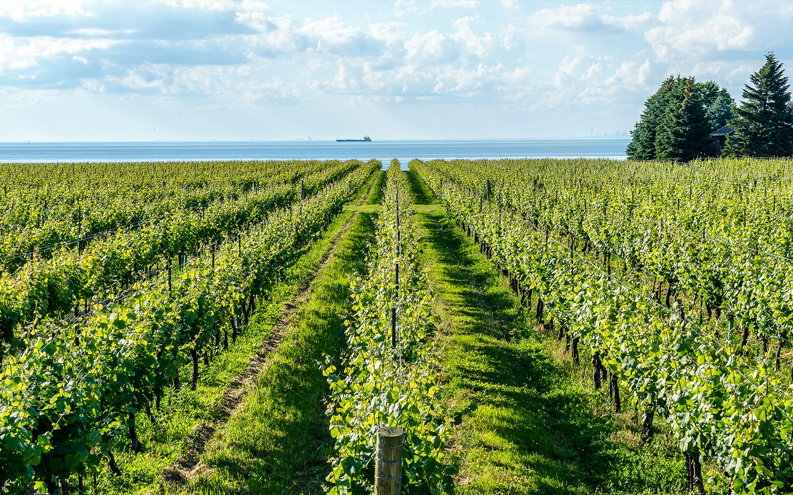 Niagara Falls Wine Tours