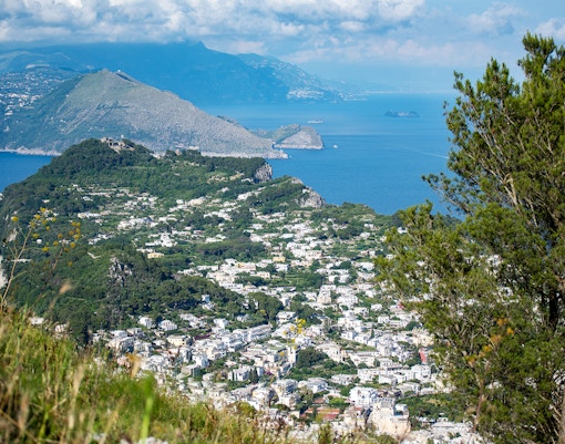 Panoramic Views