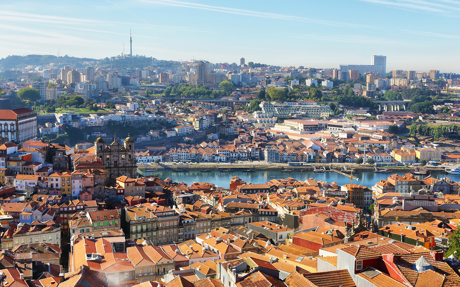 Aerial view of Porto cityscape with Clerigos Tower and Douro River.