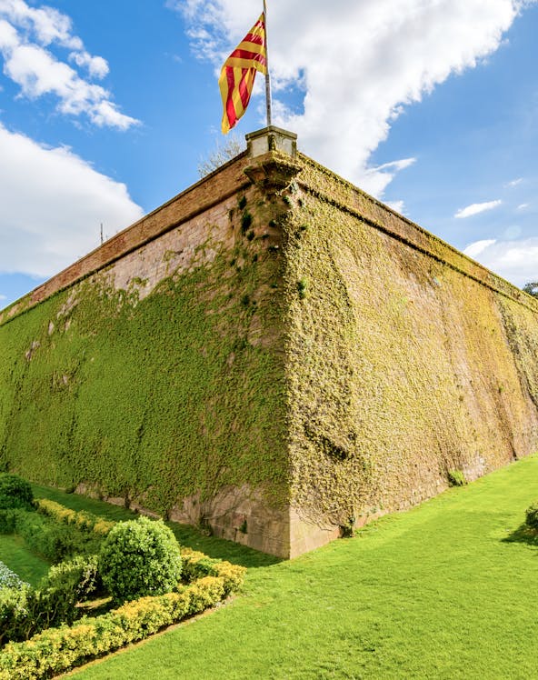 Montjuic Castle wall covered in ivy with Catalonia flag, Barcelona.