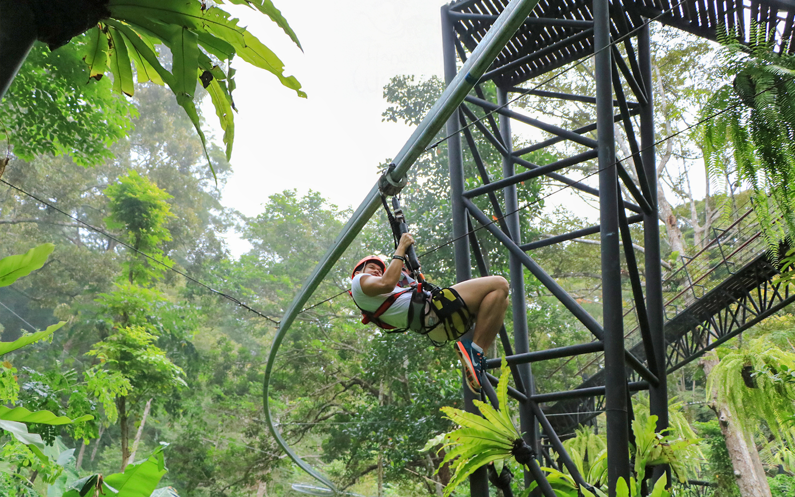 Ziplining through lush forest at Hanuman World, Thailand.