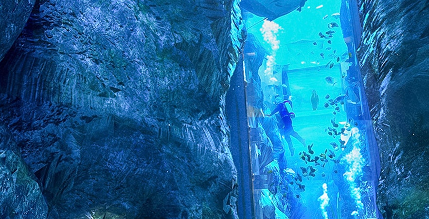 No Cost Bonus Tickets