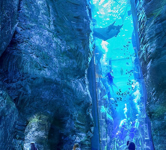 Visitors observing large aquarium with divers and marine life at an indoor attraction.
