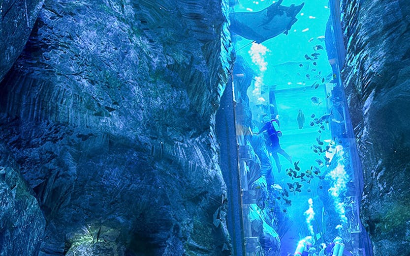 Visitors observing large aquarium with divers and marine life at an indoor attraction.
