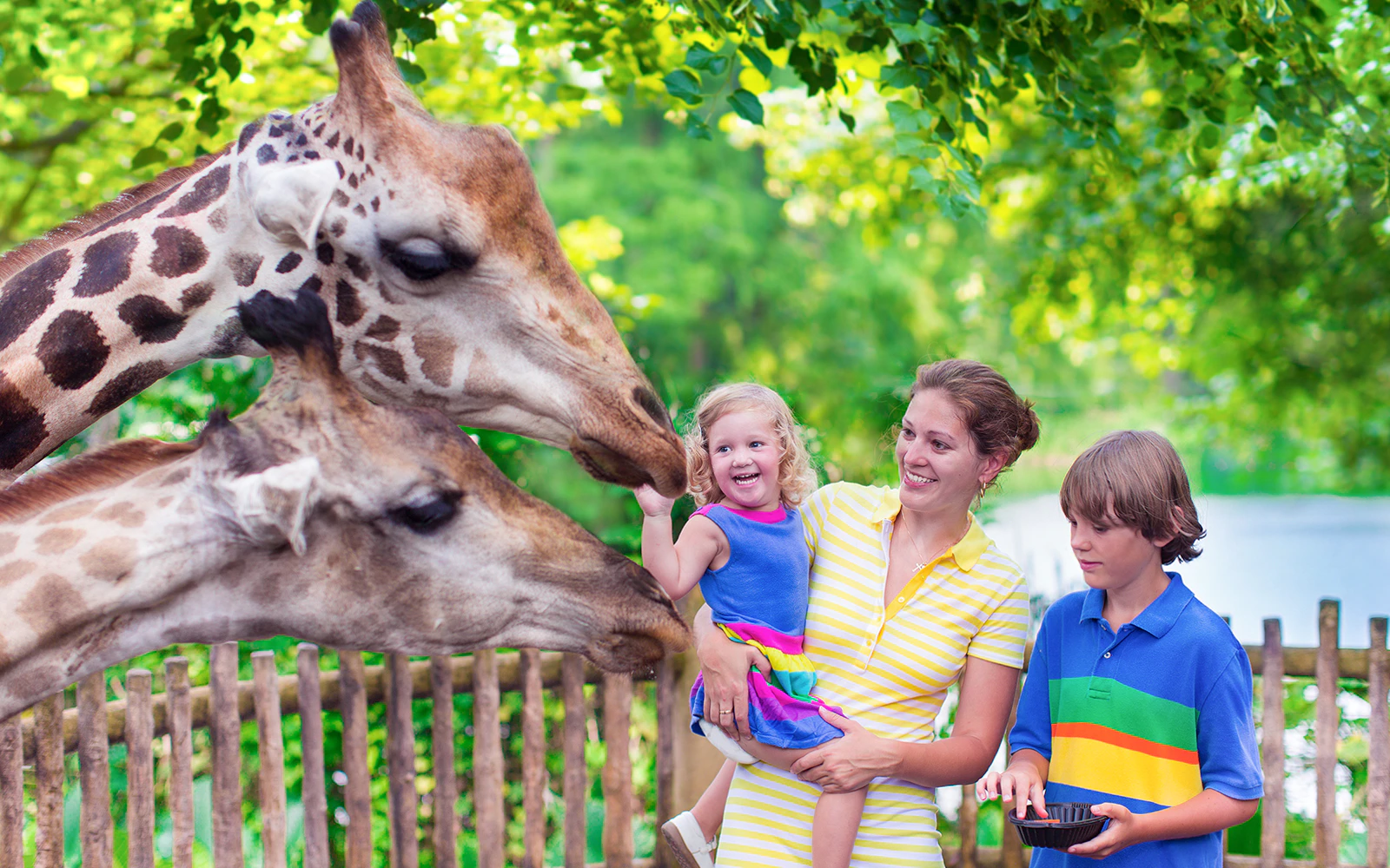 Exploring Elephant Odyssey at San Diego Zoo