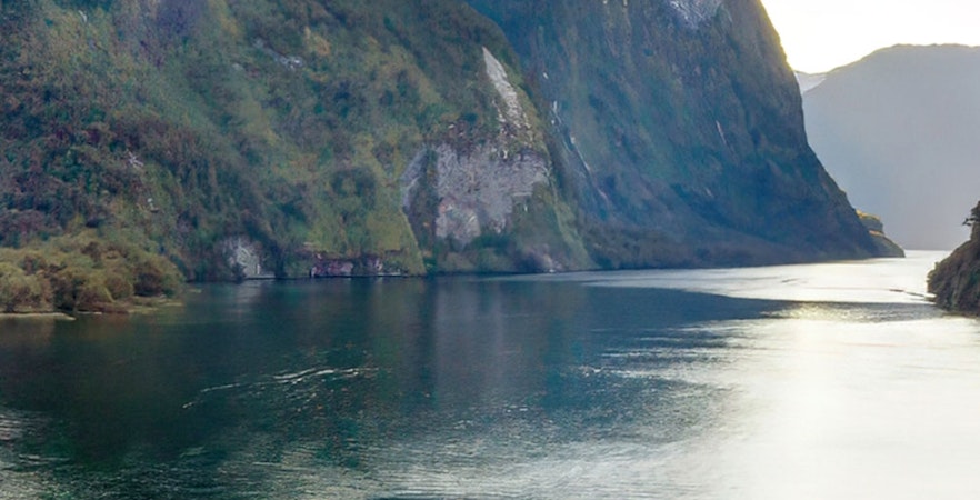 Cruceros por Doubtful Sound