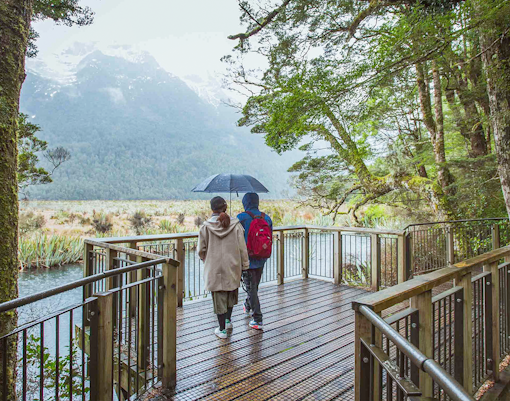 crucero milford sound