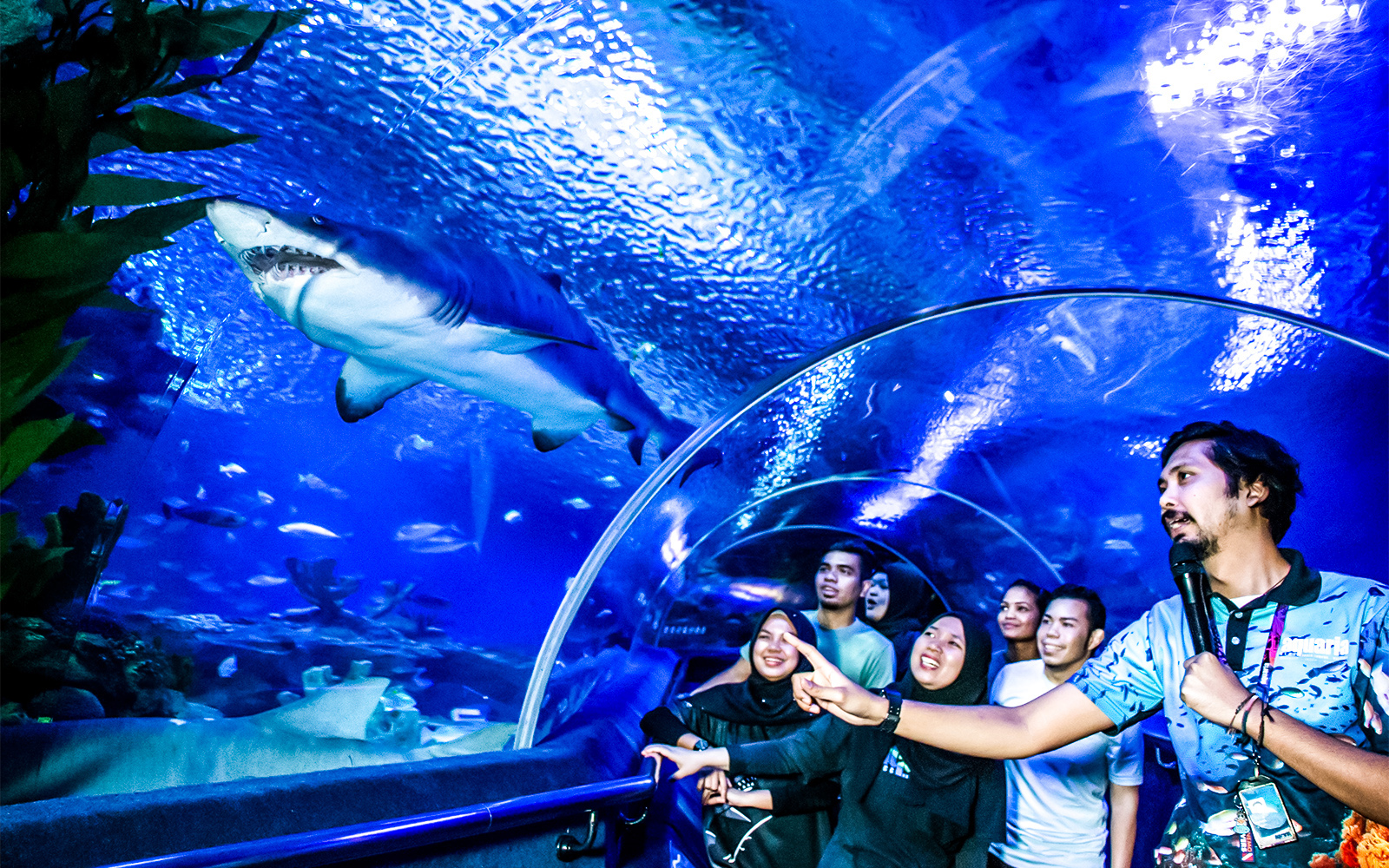 Book Combo: Aquaria KLCC Ticket + Petrosains Ticket Online