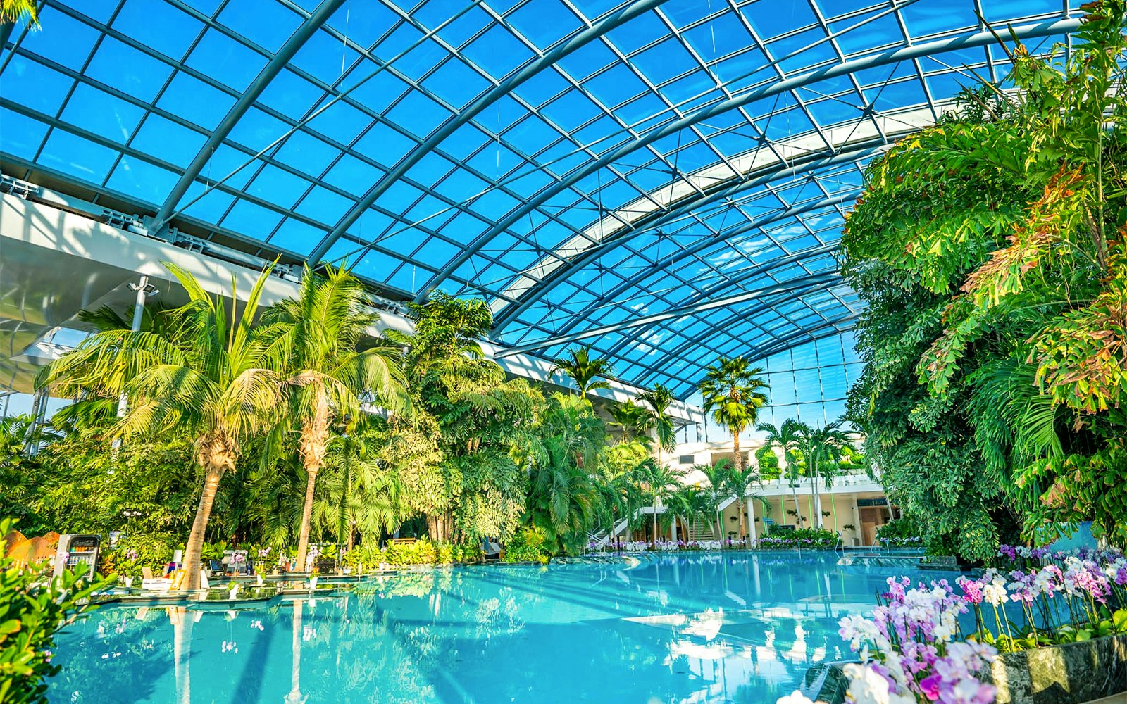Therme Bucuresti indoor pool with lush tropical plants and glass ceiling.