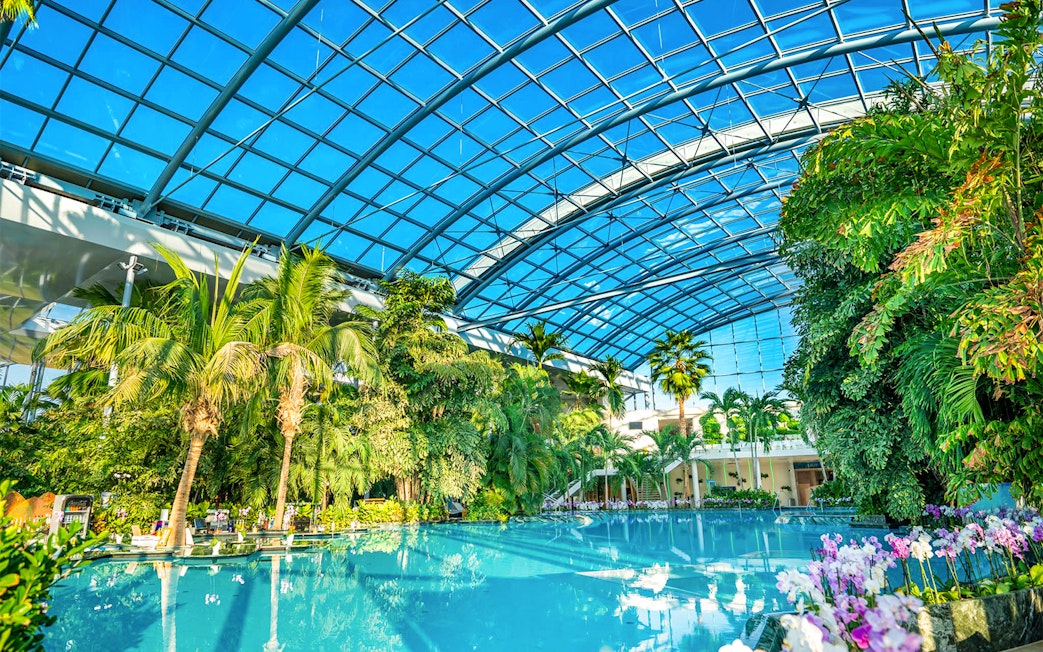 Therme Bucuresti indoor pool with lush tropical plants and glass ceiling.