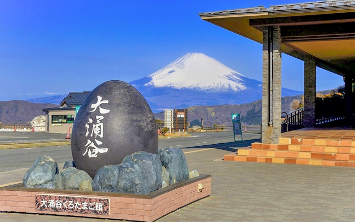Owakudani black egg monument with Mount Fuji in the background, Hakone, Japan.