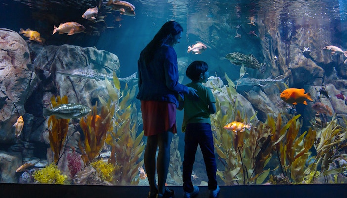 Aquarium of the Pacific opening hours