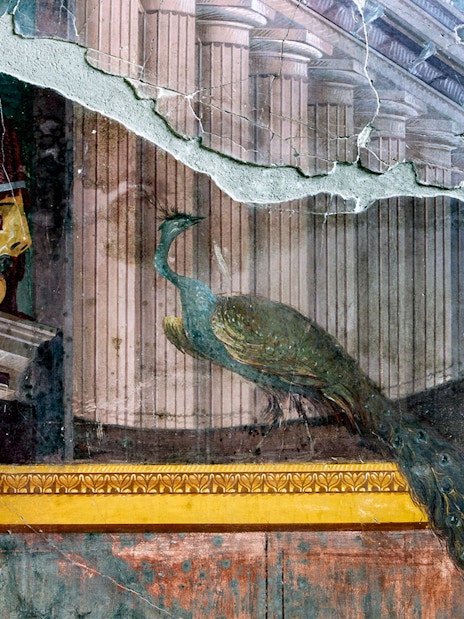 Fresco of a peacock and theatrical mask at Oplontis, Torre Annunziata.