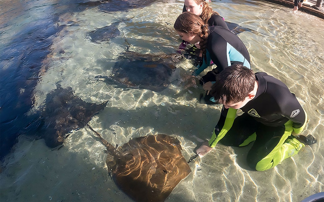 Visitors interacting with stingrays in shallow water at Irukandji, Australia.