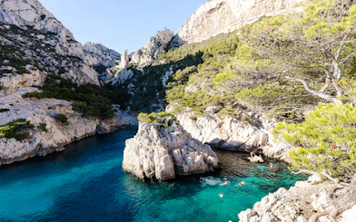 Sailboats in turquoise waters of Calanques National Park, France, surrounded by rocky cliffs and pine trees.