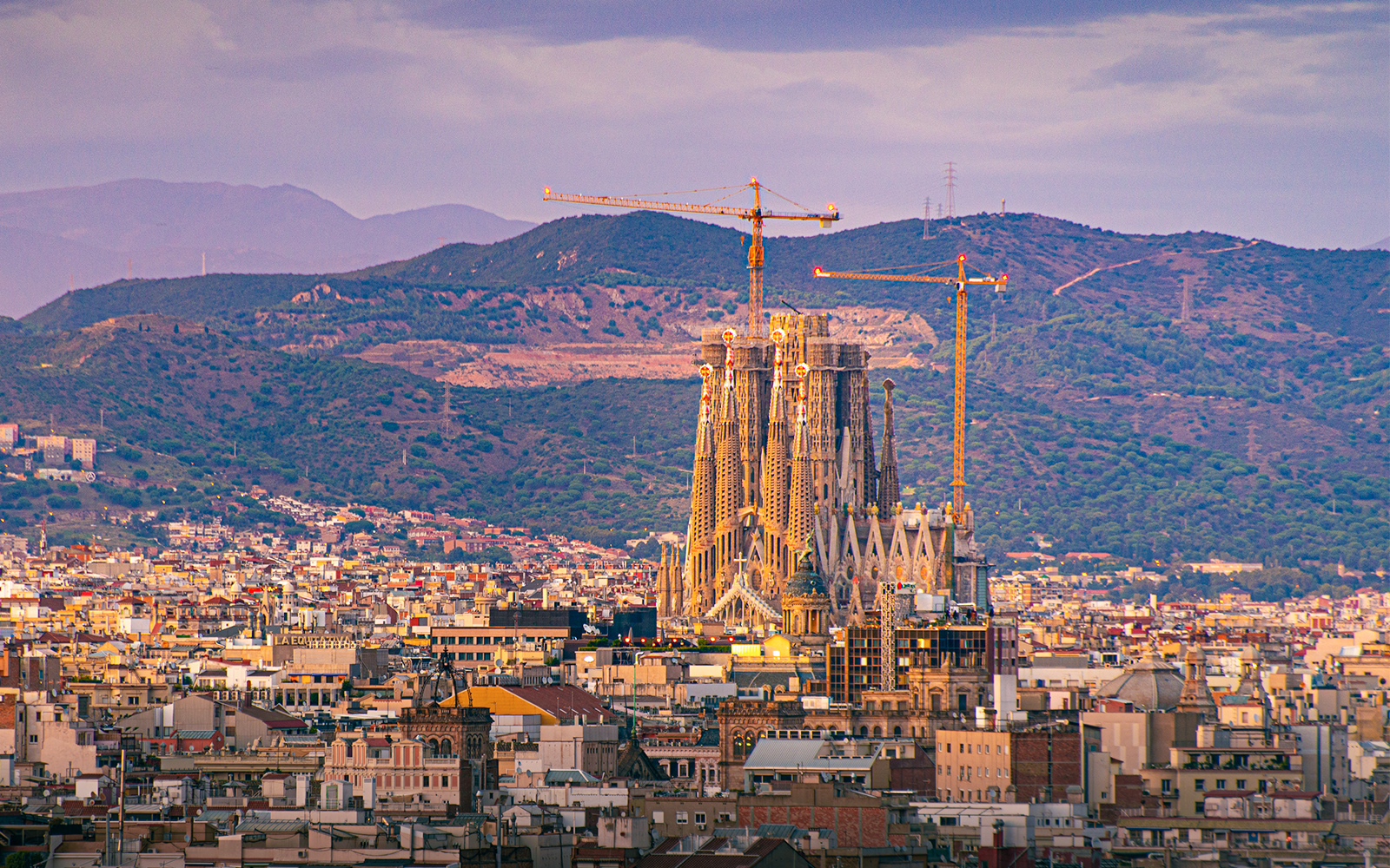 Sagrada Familia Architecture | Construction & Design