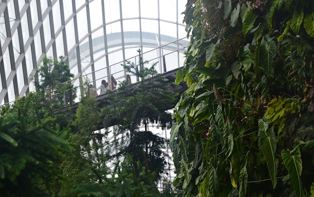Visitors walking on a canopy bridge inside a lush greenhouse in Garden City.