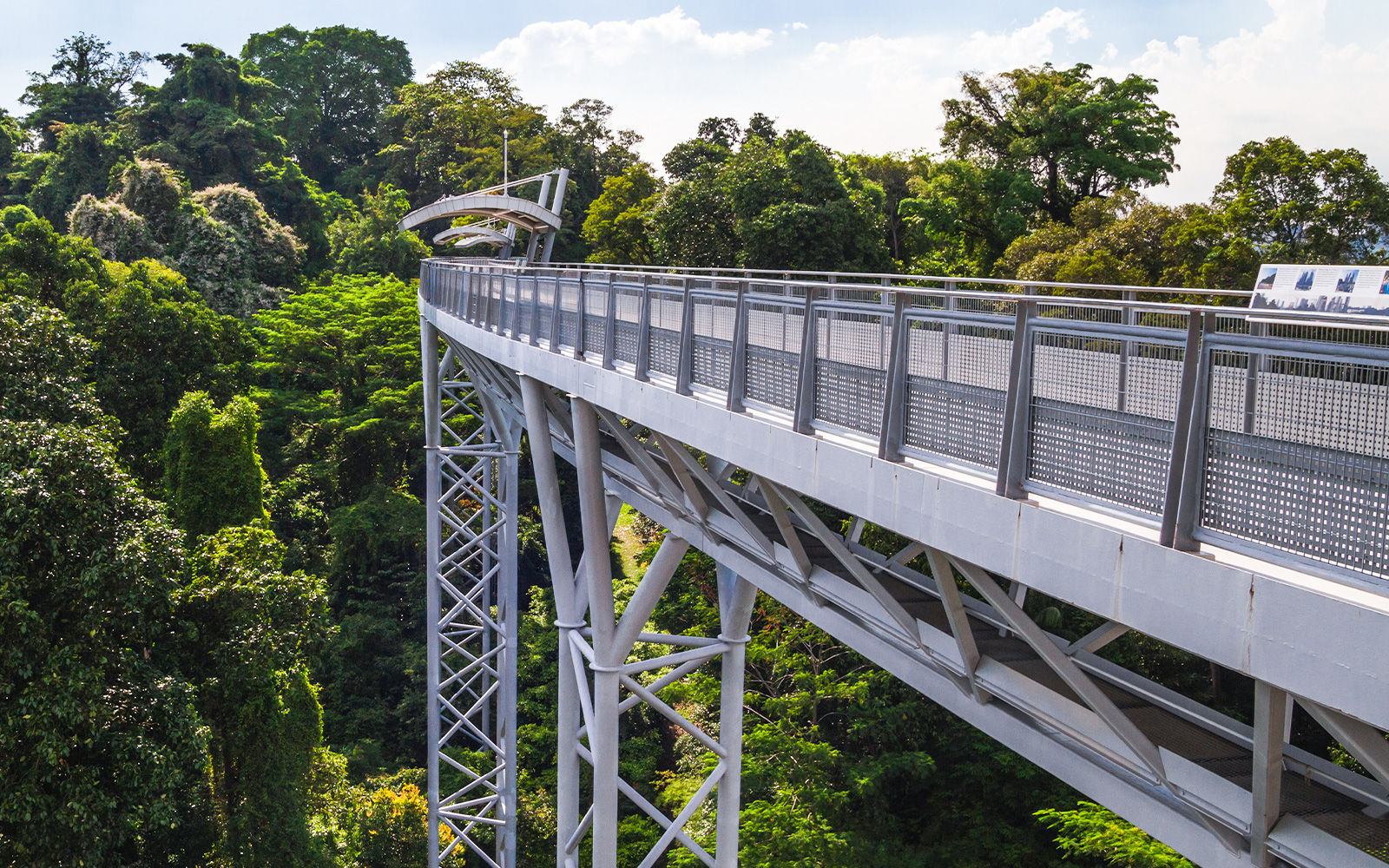 Fort Siloso Skywalk elevated walkway through lush greenery in Singapore.