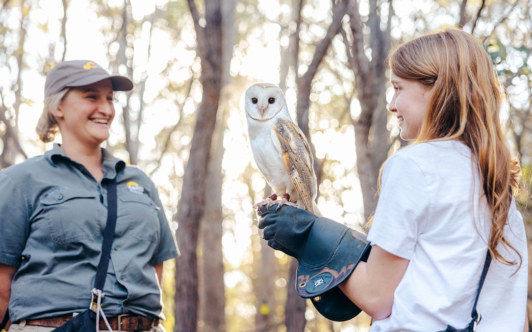 Young girl holding an owl with a guide at Capes Raptor Centre.