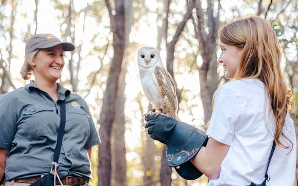 Young girl holding an owl with a guide at Capes Raptor Centre.