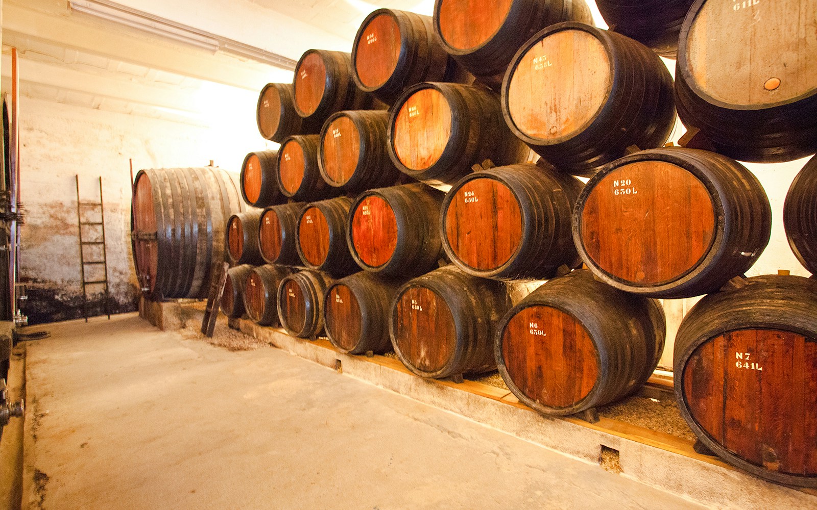Barrel room at Quinta do Vallado vineyard, Douro Valley, Portugal.