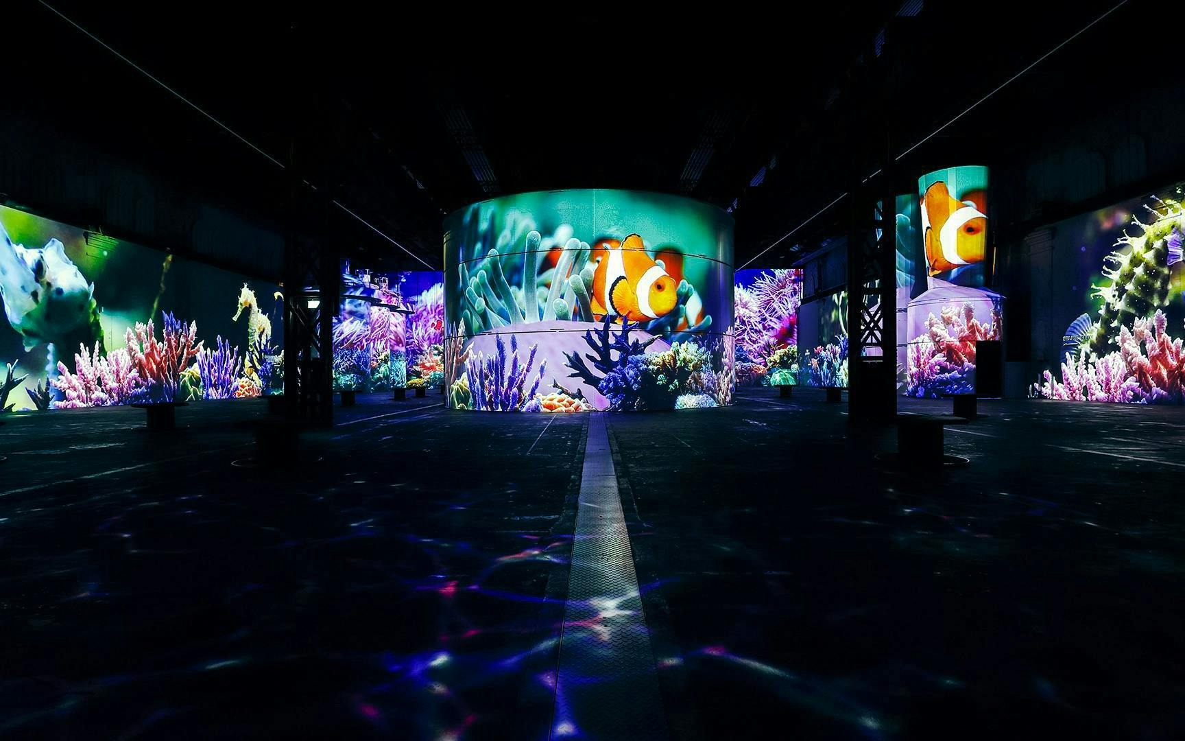 dortmund: phoenix des lumières giriş biletleri - küçük prens-5