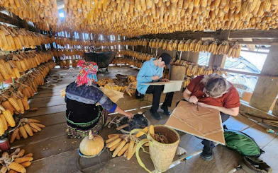 Crafting in a corn-husk lined room during Mu Cang Chai motorbike tour, Sa Pa.