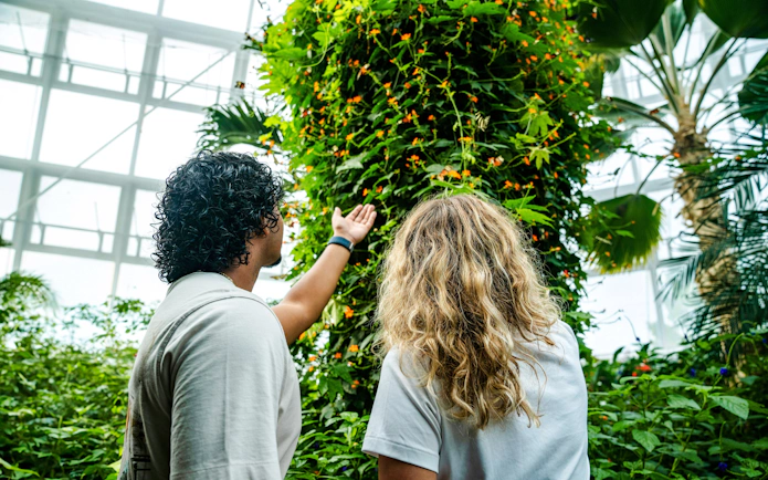 Visitors exploring lush greenery at Niagara Falls Butterfly Conservatory, Canada.