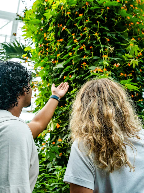 Visitors exploring lush greenery at Niagara Falls Butterfly Conservatory, Canada.