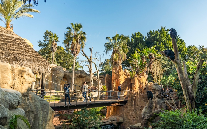 Visitors on a wooden bridge at Bioparc Fuengirola, Spain, surrounded by lush greenery and primates.