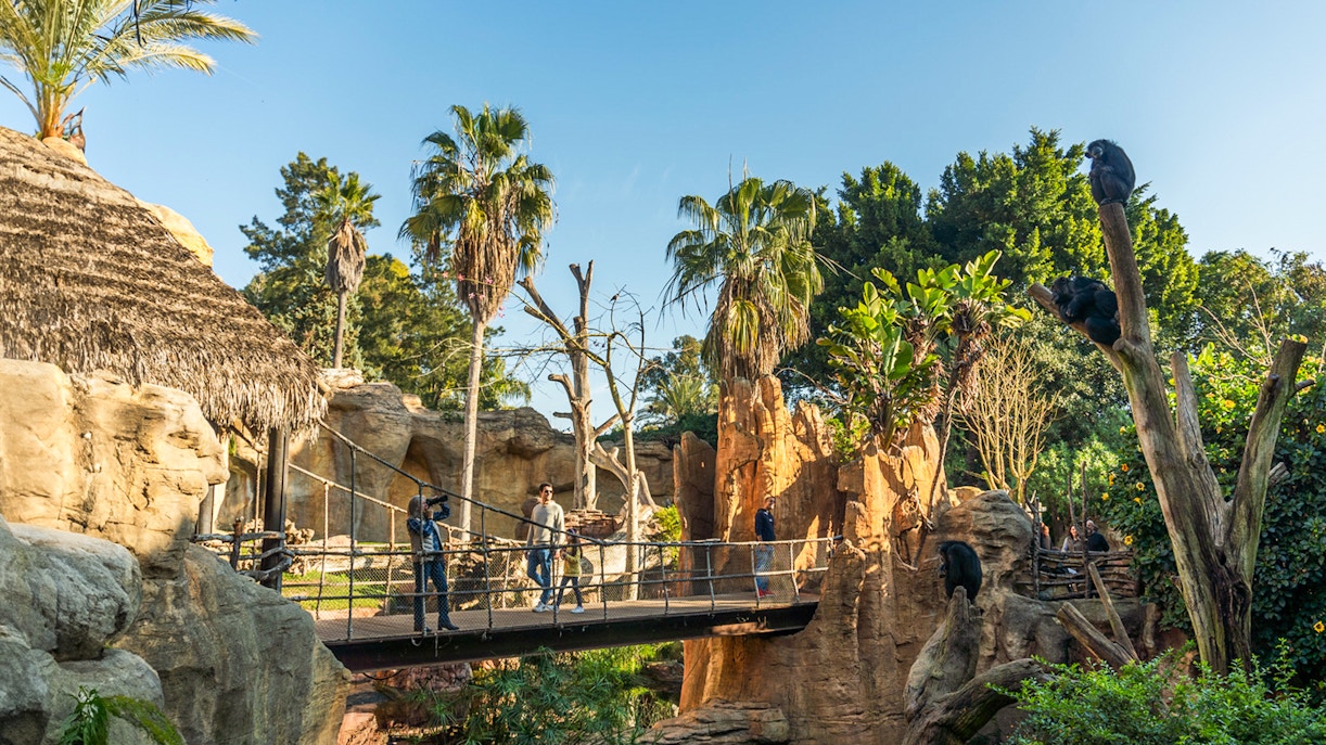 Visitors crossing wooden bridge at Bioparc Fuengirola, Spain, surrounded by lush greenery.