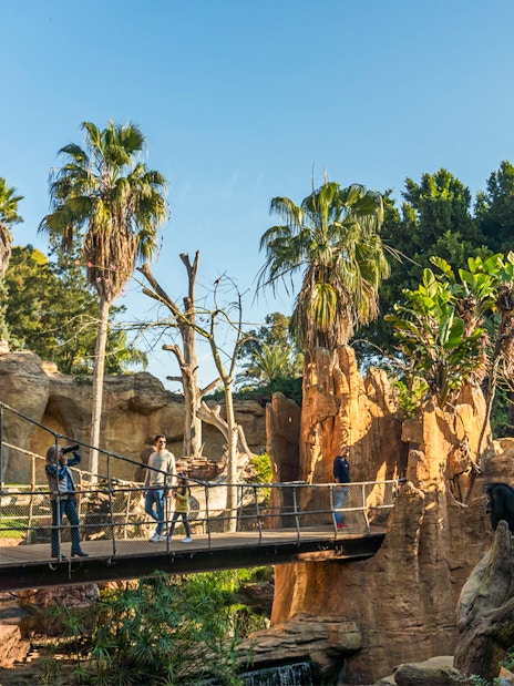 Visitors on a wooden bridge at Bioparc Fuengirola, Spain, surrounded by lush greenery and primates.