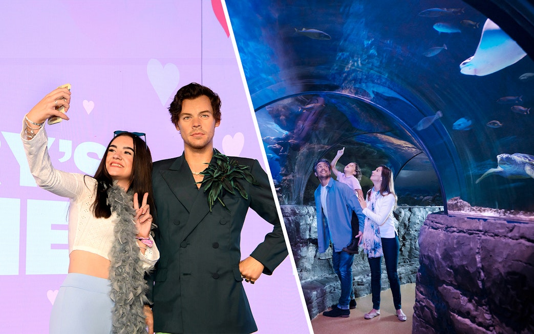 Madame Tussauds wax figure and family exploring SEA LIFE London Aquarium tunnel.