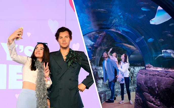 Madame Tussauds wax figure and family exploring SEA LIFE London Aquarium tunnel.