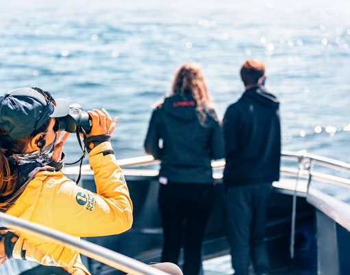 Whale watching tour group observing orcas near Victoria, Canada.