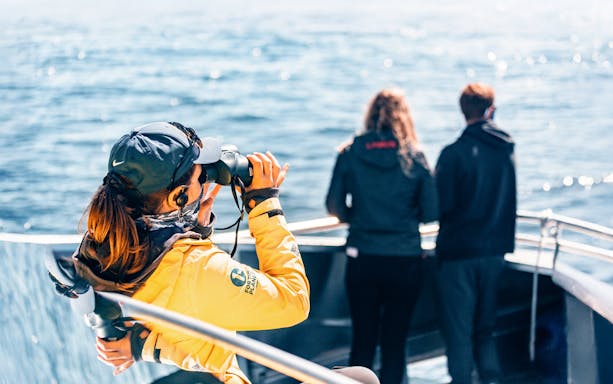 People on a boat during a whale watching tour, one using binoculars to view the ocean.