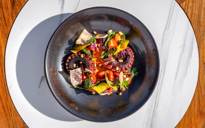 Grilled octopus with cherry tomatoes and herbs at Yona Beach Club, Phuket.