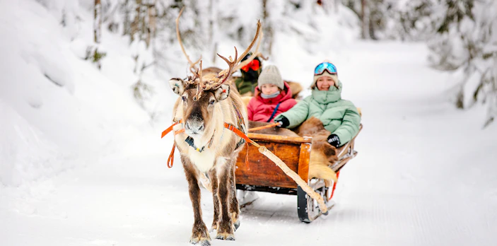 Reindeer pulling a sled with people through snowy forest in Rovaniemi.