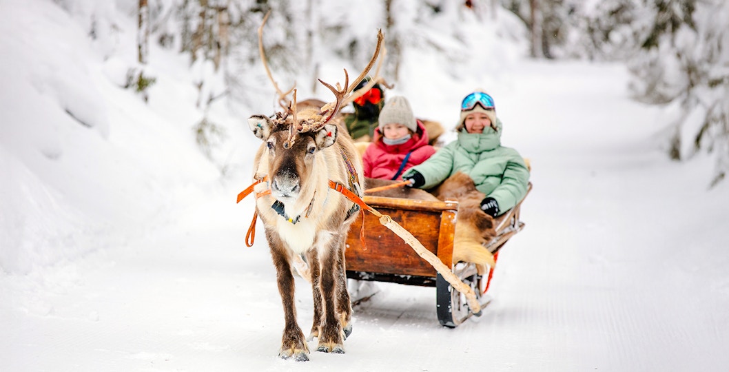 Reindeer pulling a sled with people through snowy forest in Rovaniemi.