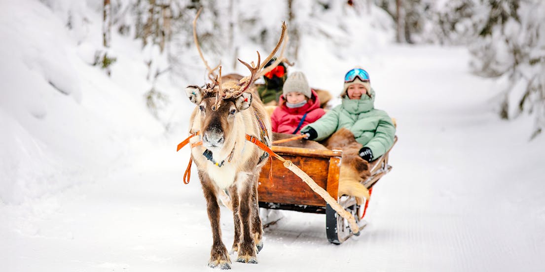 Dog sledding experiences