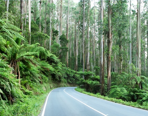 The Black Spur in Australia