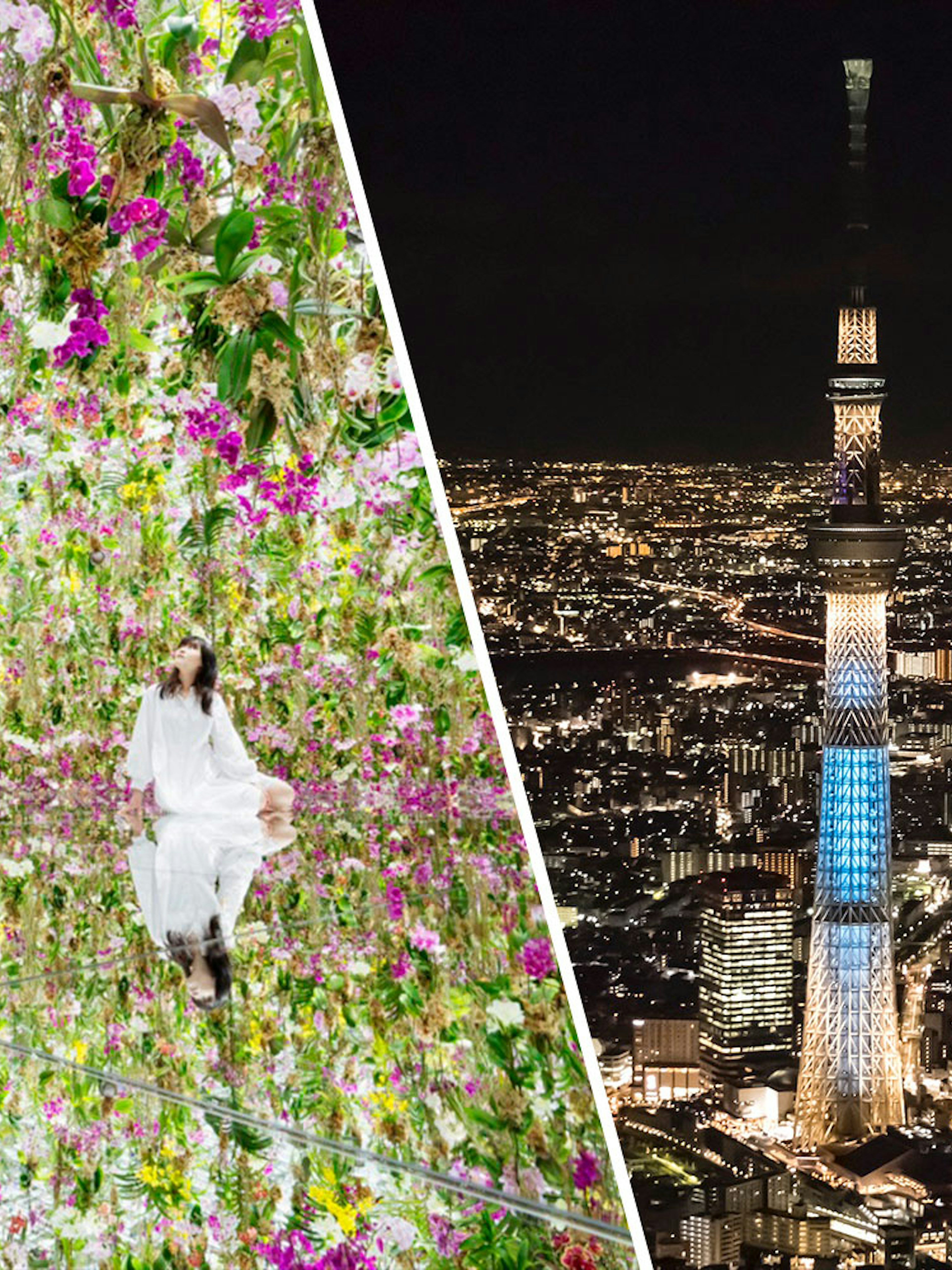 teamLab Planets TOKYO floral exhibit and Tokyo Skytree illuminated at night.