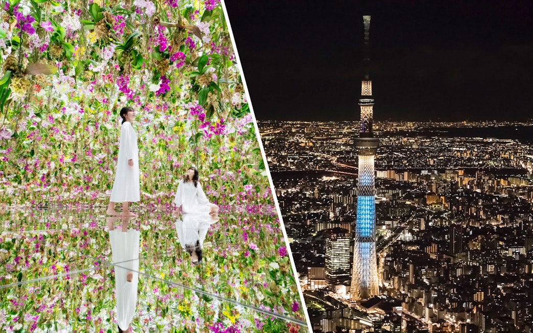 teamLab Planets TOKYO floral exhibit and Tokyo Skytree illuminated at night.