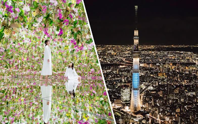 teamLab Planets TOKYO floral exhibit and Tokyo Skytree illuminated at night.