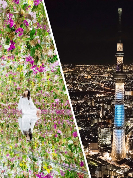 teamLab Planets TOKYO floral exhibit and Tokyo Skytree illuminated at night.