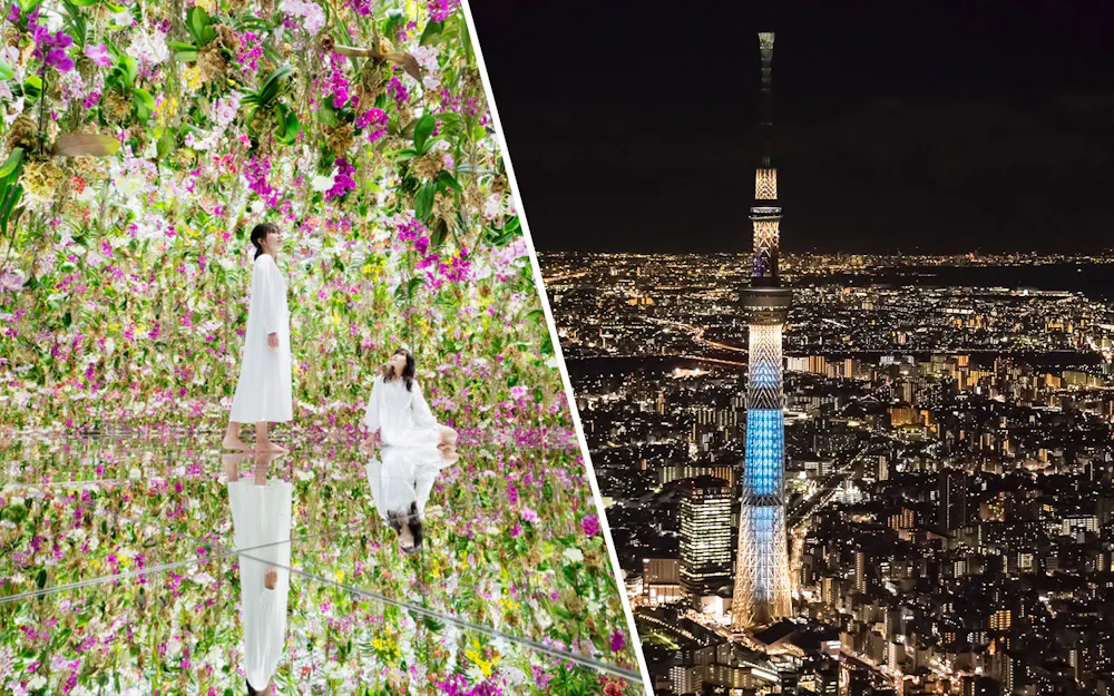 Combo: biglietti per teamLab Planets Tokyo + Piattaforme di osservazione di Tokyo