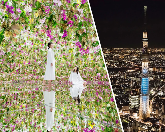 Combo: teamLab Planets Tokyo + Tokyo Observation Decks Tickets